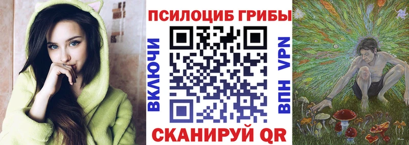Галлюциногенные грибы MAGIC MUSHROOMS  ОМГ ОМГ как зайти  Грайворон 