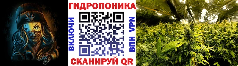 где можно купить наркотик  Грайворон  МАРИХУАНА VHQ 